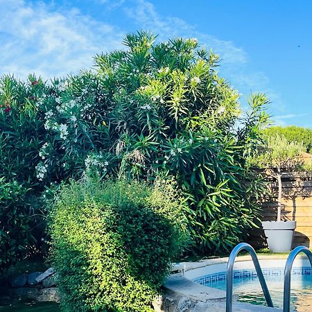 Piscine Cosy, 3 Chambres, 3 Sdb, Havre De Paix A 10 Min Des Plages Могио Экстерьер фото
